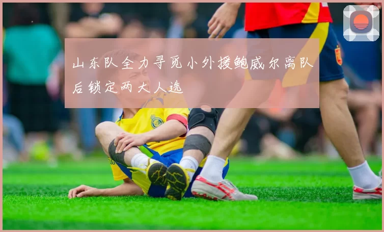 山东队全力寻觅小外援鲍威尔离队后锁定两大人选