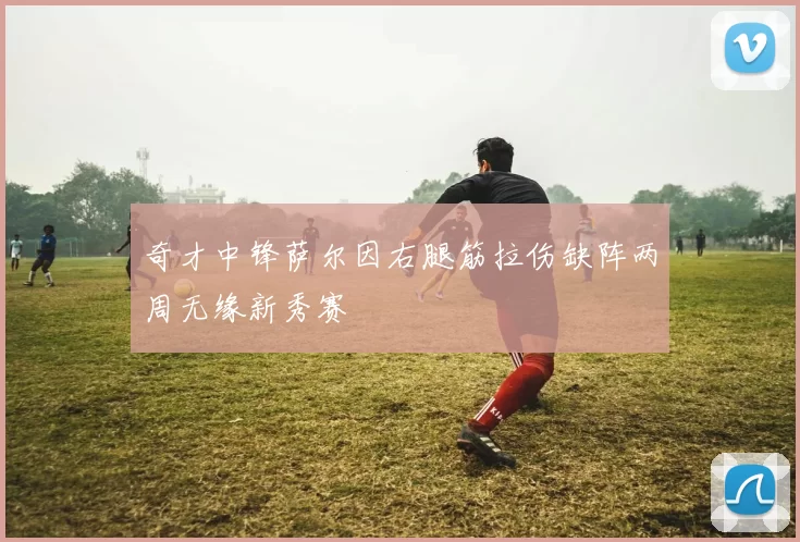 奇才中锋萨尔因右腿筋拉伤缺阵两周无缘新秀赛