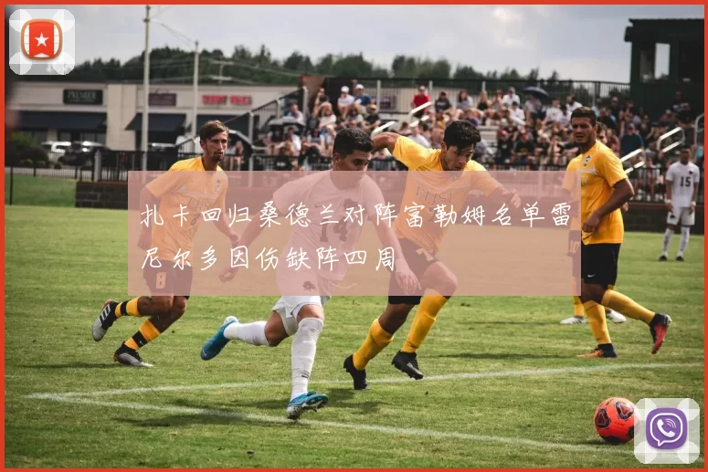 扎卡回归桑德兰对阵富勒姆名单雷尼尔多因伤缺阵四周